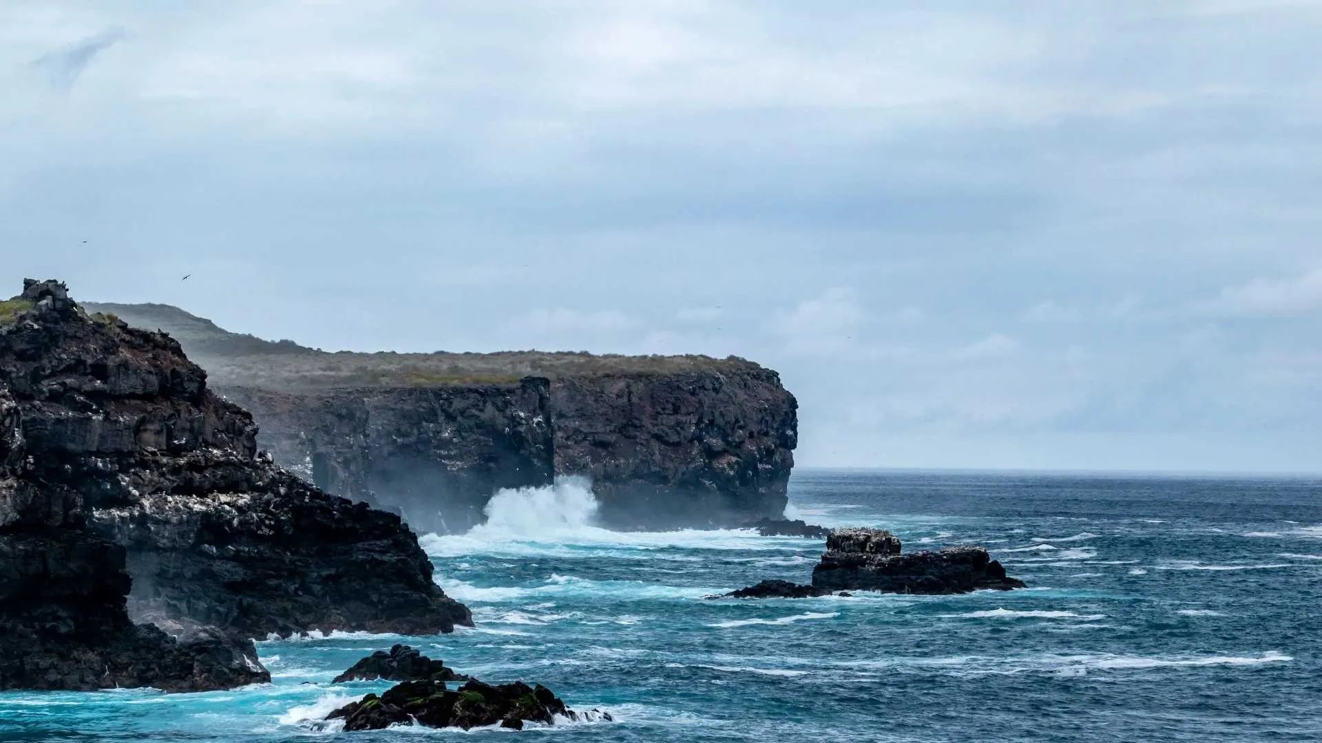 Galapagos Outer Loop Cruise