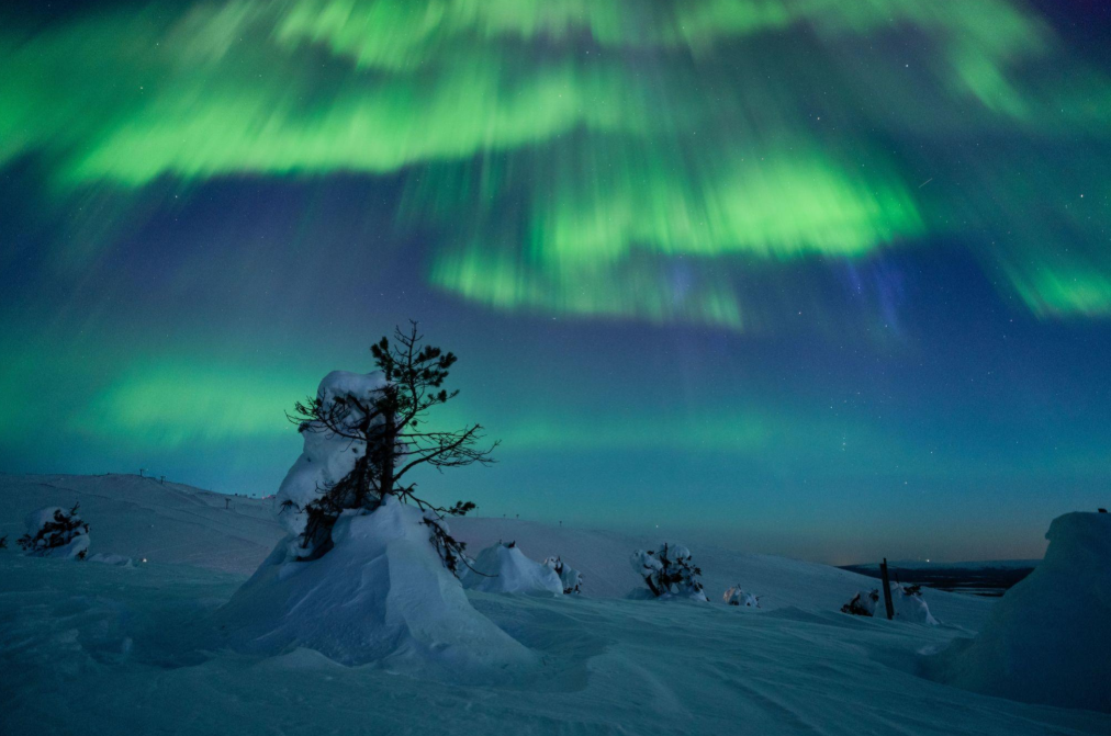 Arctic