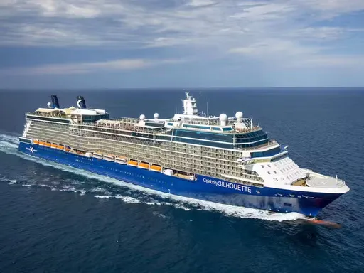 Celebrity Silhouette