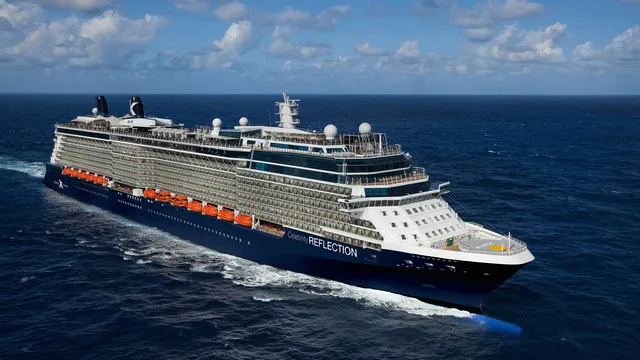Celebrity Reflection